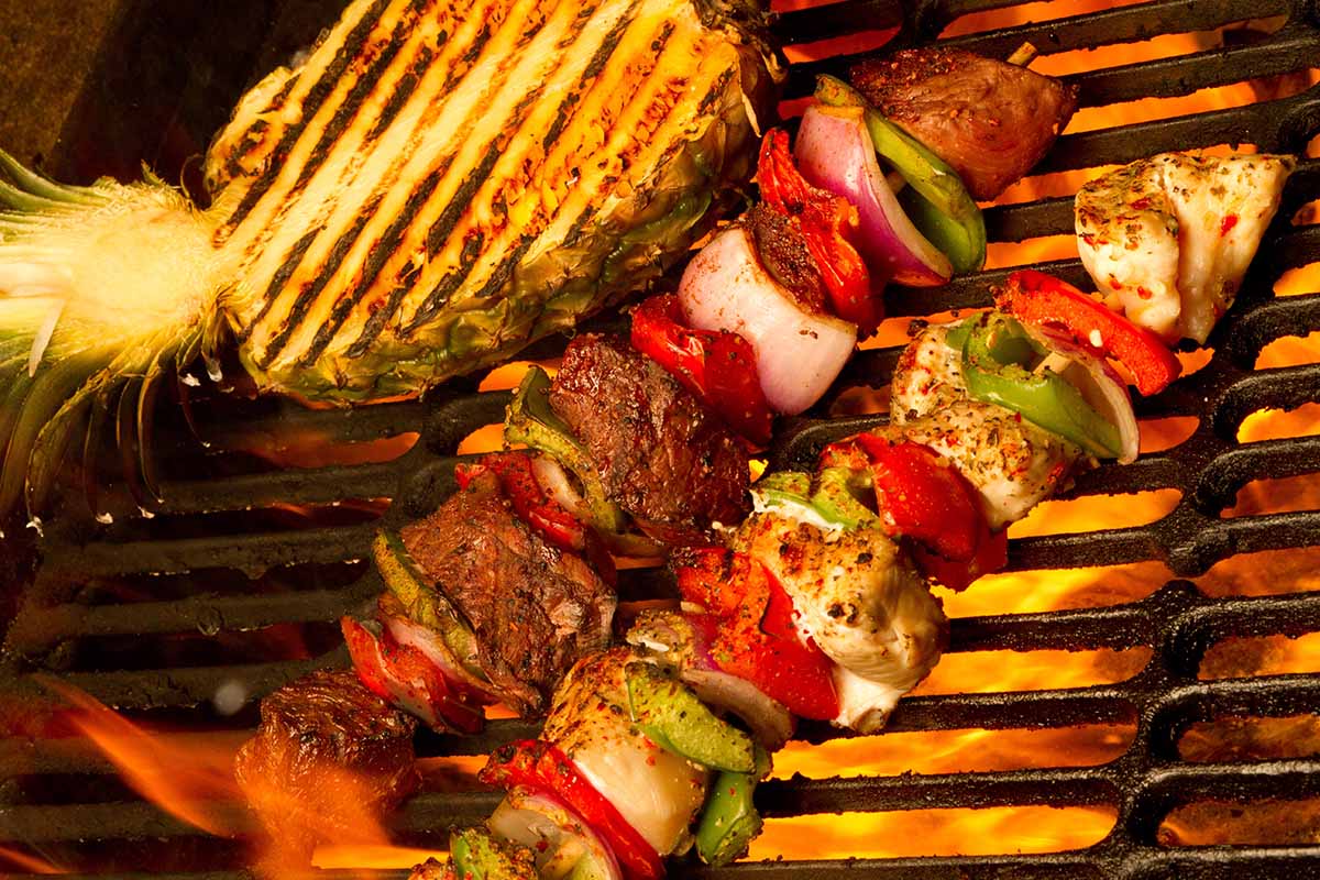 Pineapple and Kebab